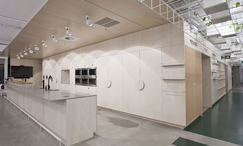 Cardno Fitout